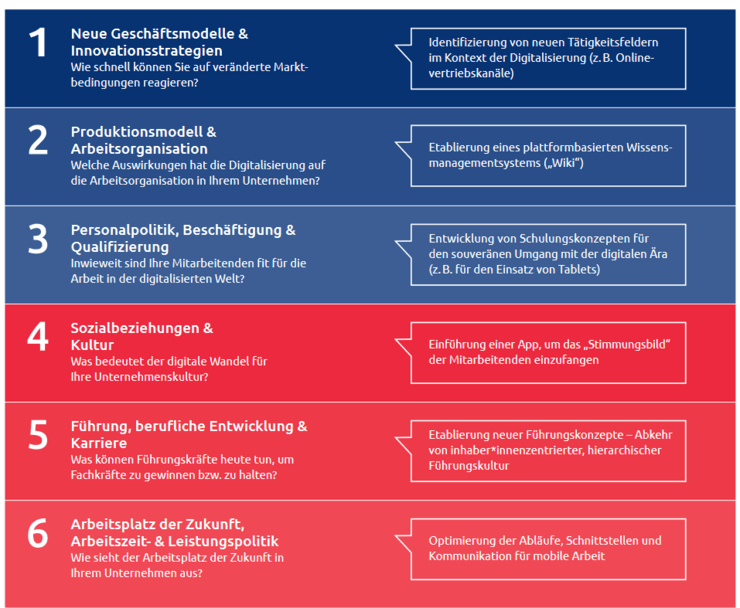 Zentrale_Gestaltungsfelder_INQA